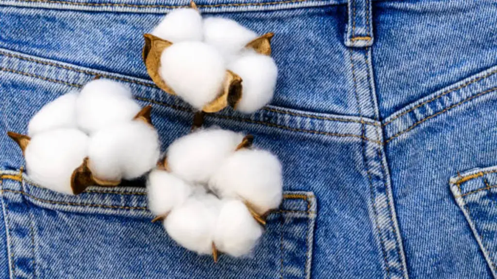 What Is BCI Cotton cover