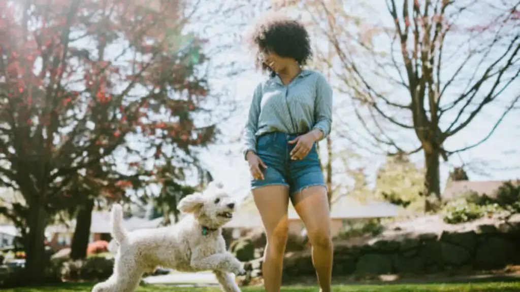 a woman in denim shorts and a dog